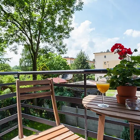 Zamulkowa كاتوفيتسه