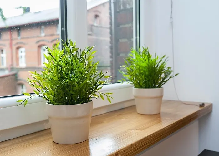 Apartament Zamulkowa *